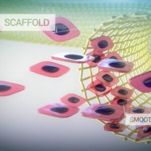 This blood vessel was grown in a lab with real human cells