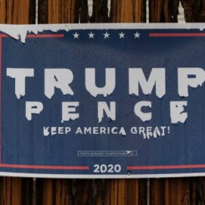 Constitutional sheriffs election deniers immigrants voting