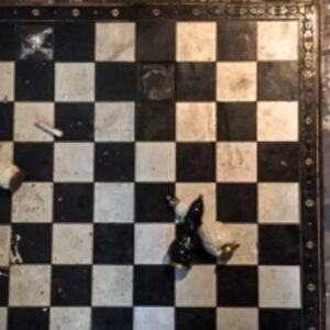 Russian chess player poison board mercury