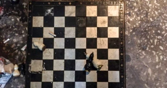 Russian chess player poison board mercury