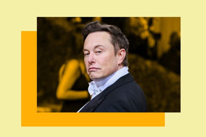 Elon musk lackeys general services administration