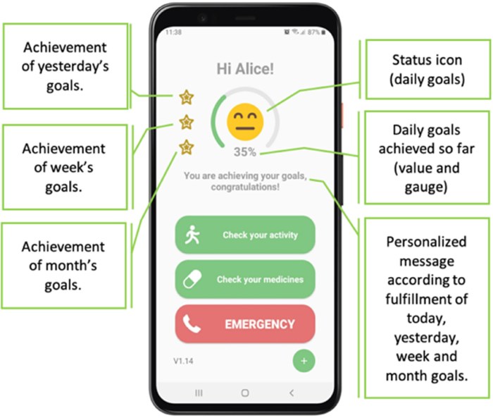 Chronic care management software