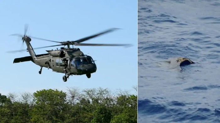 Washington dc plane crash everything we know so far black hawk faa potomac american airlines psa