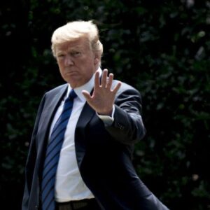 Fossil survive actually supported luecke stressed