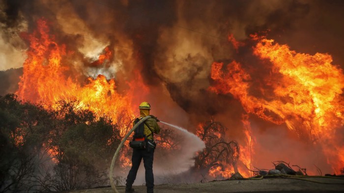 The devastating los angeles fires in pictures