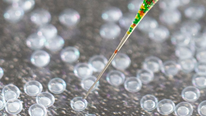 Crispr enhanced viruses are being deployed against utis