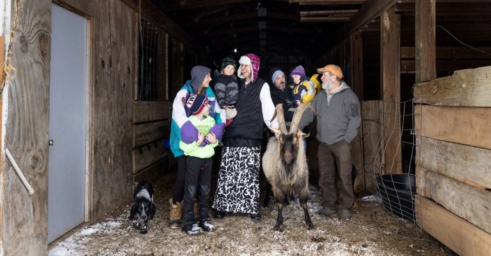 Are you lonely adopt a new family on facebook today