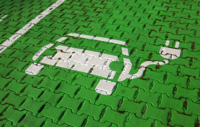 The worlds biggest maker of evs has the worst appraisal of human rights