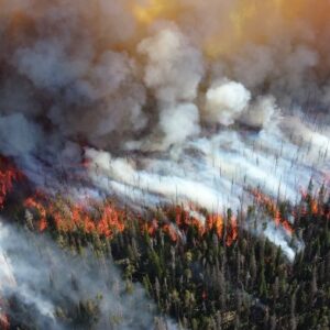 Wildfires contaminating widespread realize preventionweb threat lingering prepared poison communities caitlin amisha whelton proctor purdue shah yu pipes meter destroyed