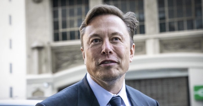 Meta elon musks lead trust safety billionaire friendly texas