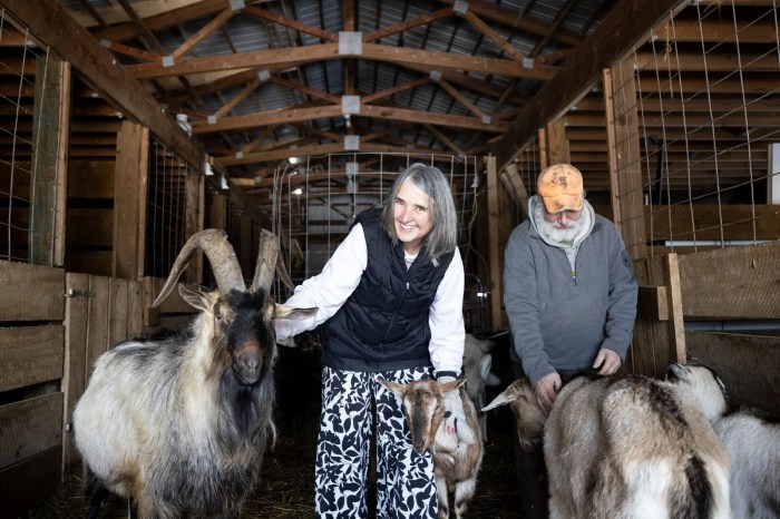 Are you lonely adopt a new family on facebook today