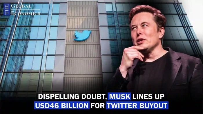 The dollar50 billion musk referendum