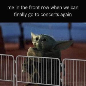 Somehow concerts are the biggest memes of the summer