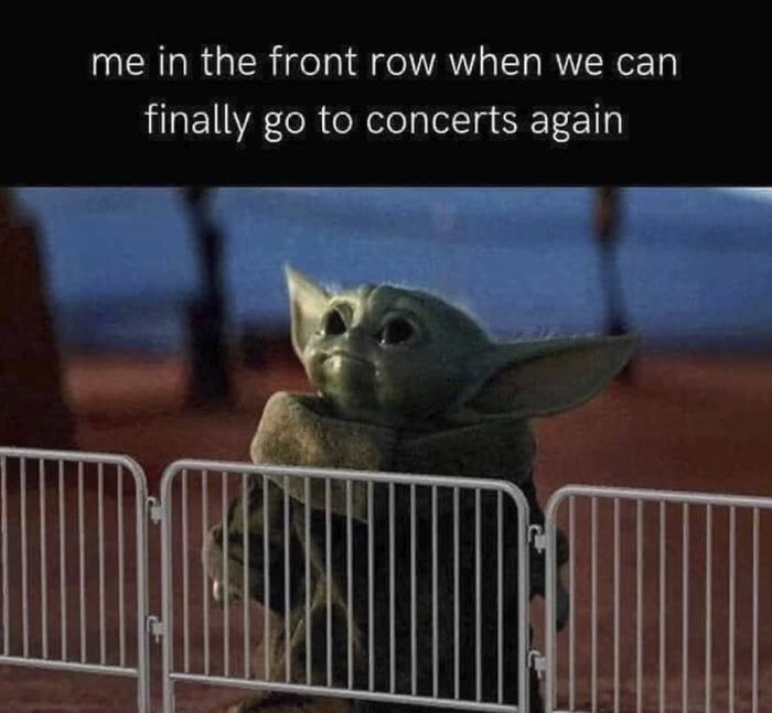 Somehow concerts are the biggest memes of the summer