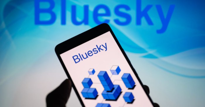 Im going to bluesky is the new im moving to canada