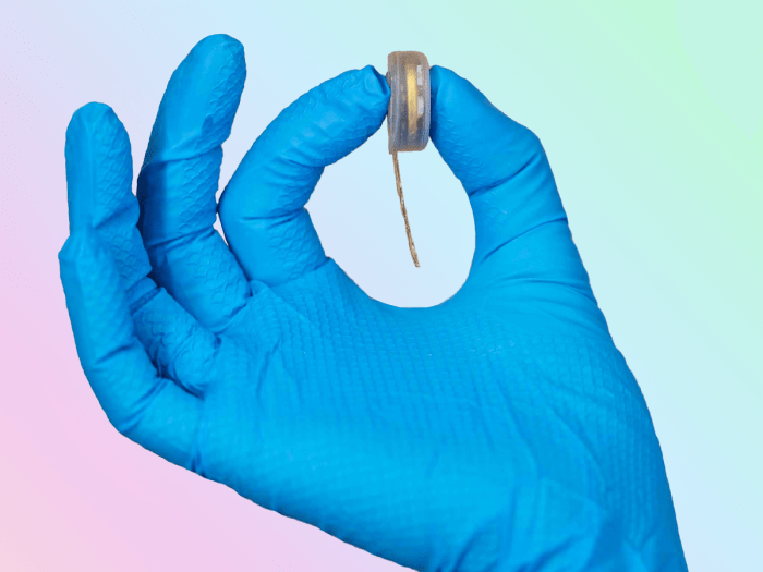 Science corporation neuralink eye implant restored vision blind people