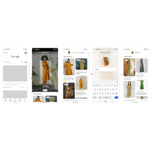 Google lens multimodal search