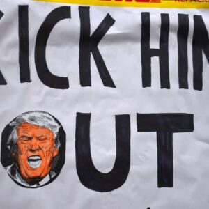 Elon musk donald trump maga