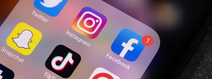 How meta tried to lure tiktok users to instagram