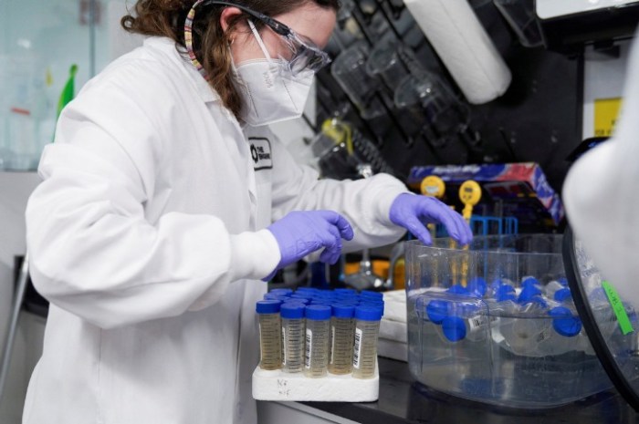 Wastewater offers an early alarm system for a deadly virus