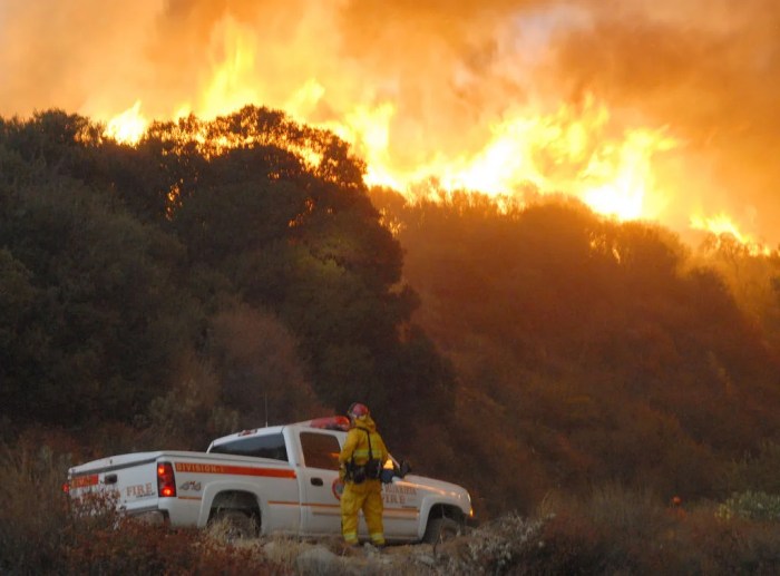 The los angeles fires will put californias new insurance rules to the test