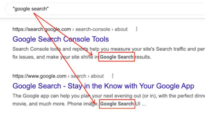 Google search 118 118 aqa