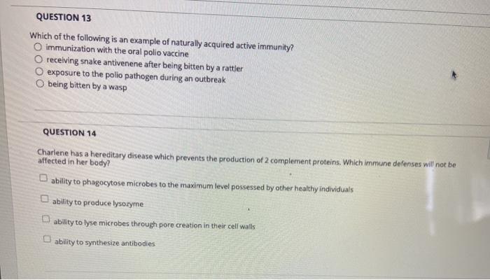 Hurricane helene shows insurance industry that no homes are safe north carolina