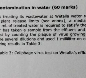 Wastewater offers an early alarm system for a deadly virus