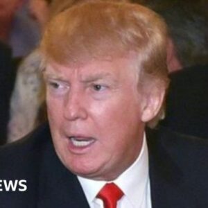 Tech ceos trump claims are courting him