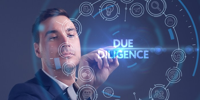 Due diligence software