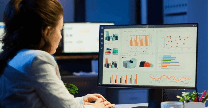 Manager accounting software