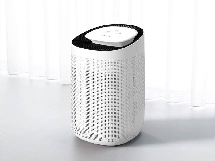 Best dehumidifiers