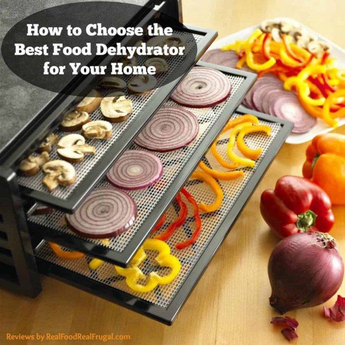 Best food dehydrators