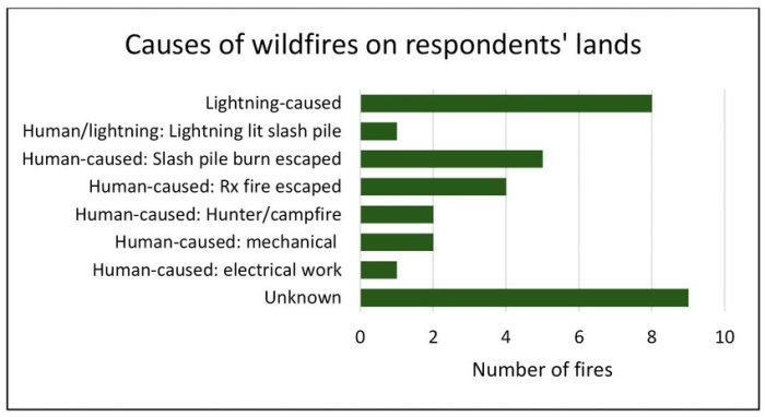 What sparks a wildfire the answer often remains a mystery