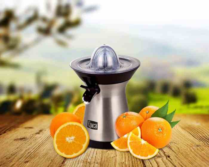Best juicer