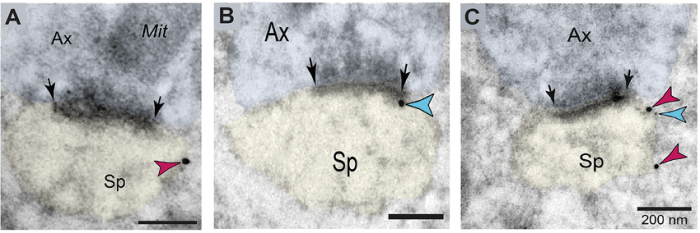 Referring client provider add