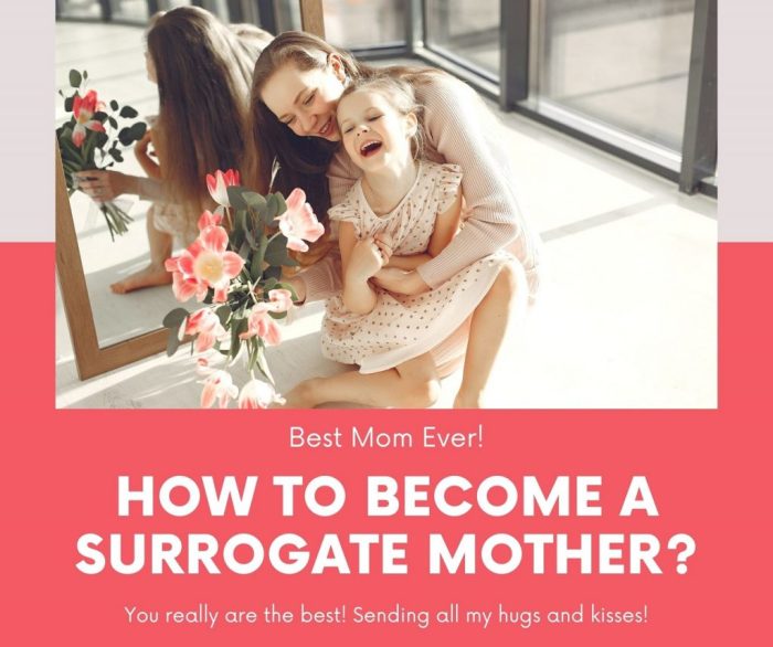 Surrogate agency surrogates lector comentarios Surrogate agency surrogates lector comentarios