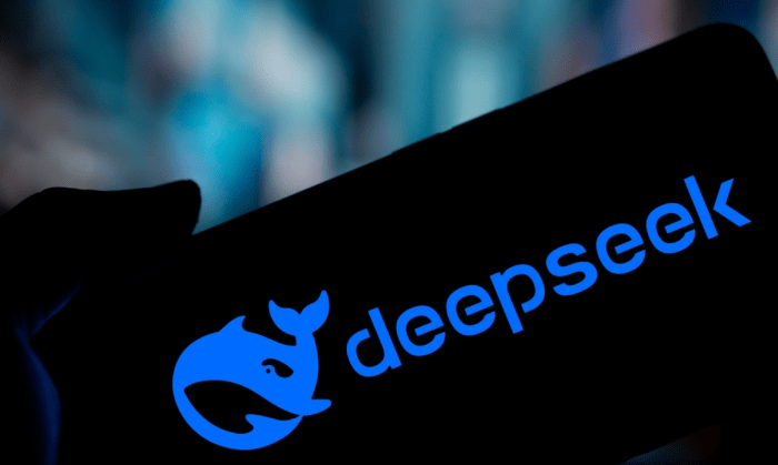 Deepseek ai china privacy data