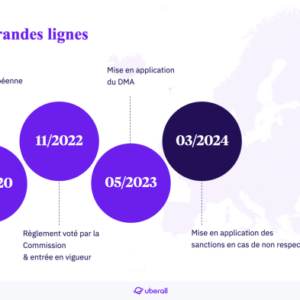 Pirate party european elections eu dma gdpr internet