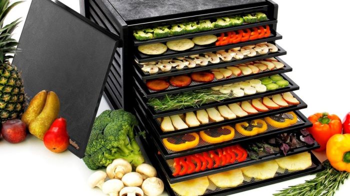 Best food dehydrators
