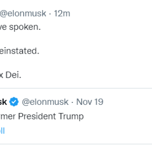 Elon musk needs donald trump back on x