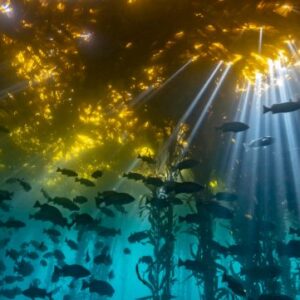 Carbon emissions icon reduction vector white background dreamstime illustration illustrations vectors clipart stock