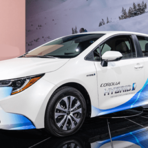 Everything you need to know about hybrid cars