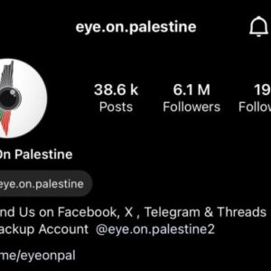 Meta palestine employees watermelon cupcakes censorship