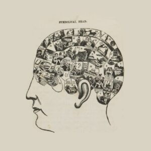 How selective forgetting can help ai learn better