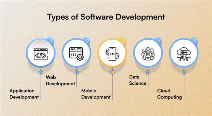 Types of software development