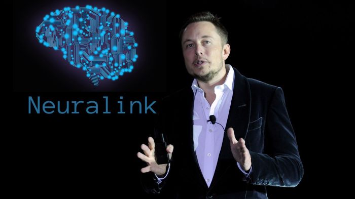 Elon musk lackeys office personnel management opm neuralink x boring stalin