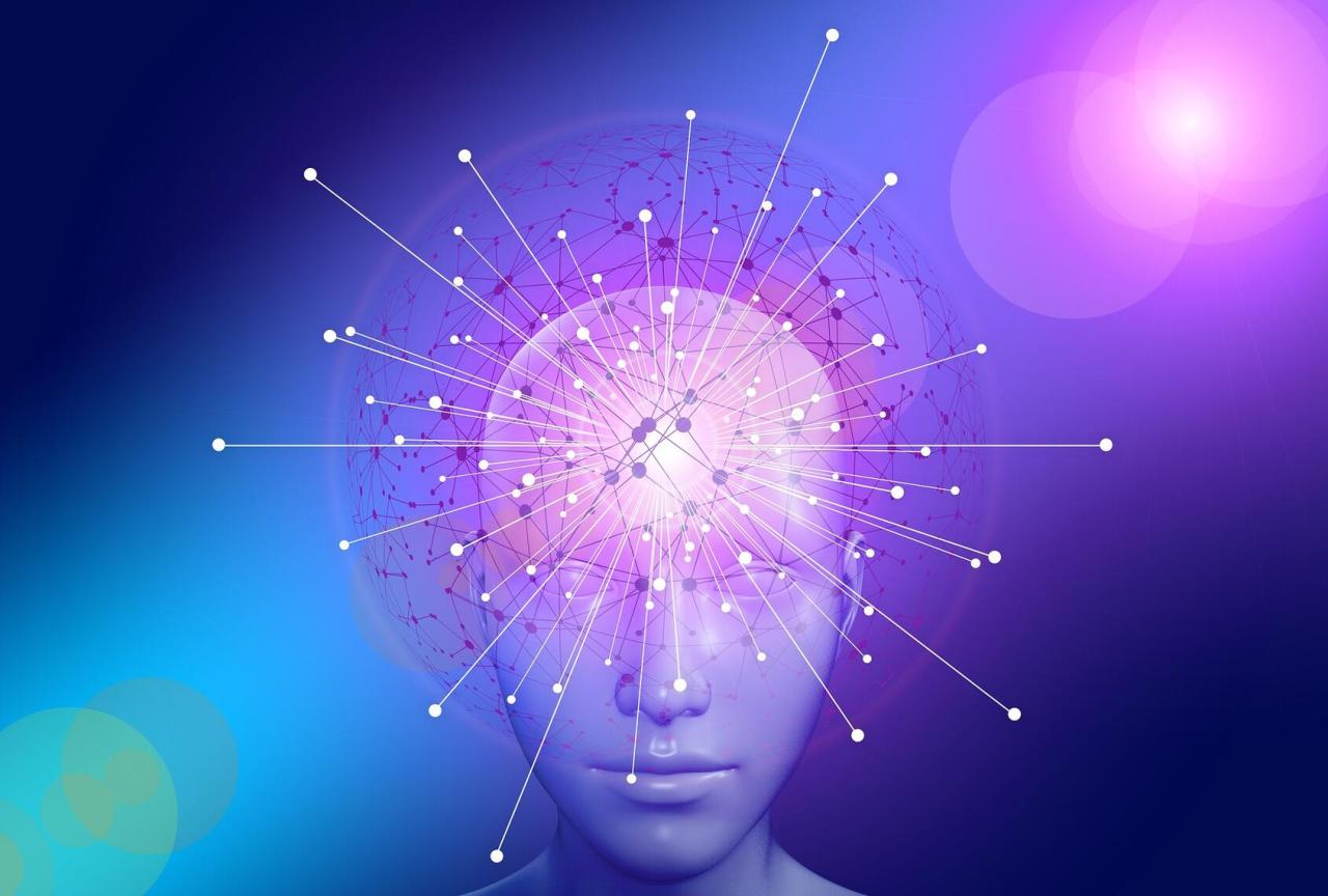 This new ai search engine has a gimmick humans answering questions