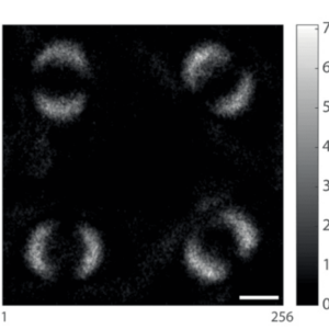 Entanglement quantum pantheism