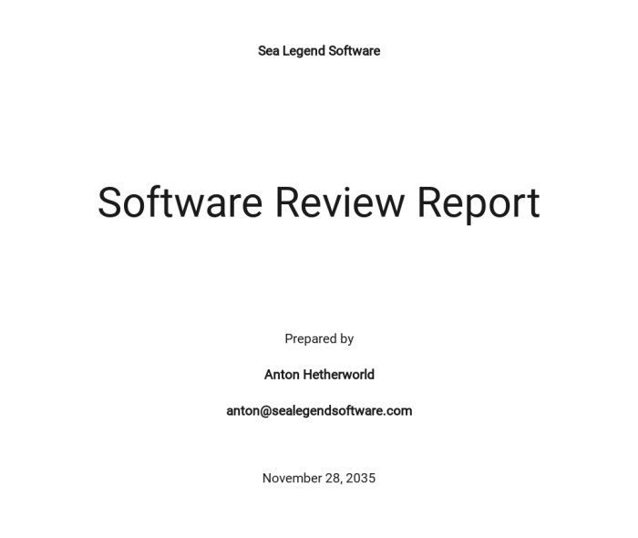 Software document review